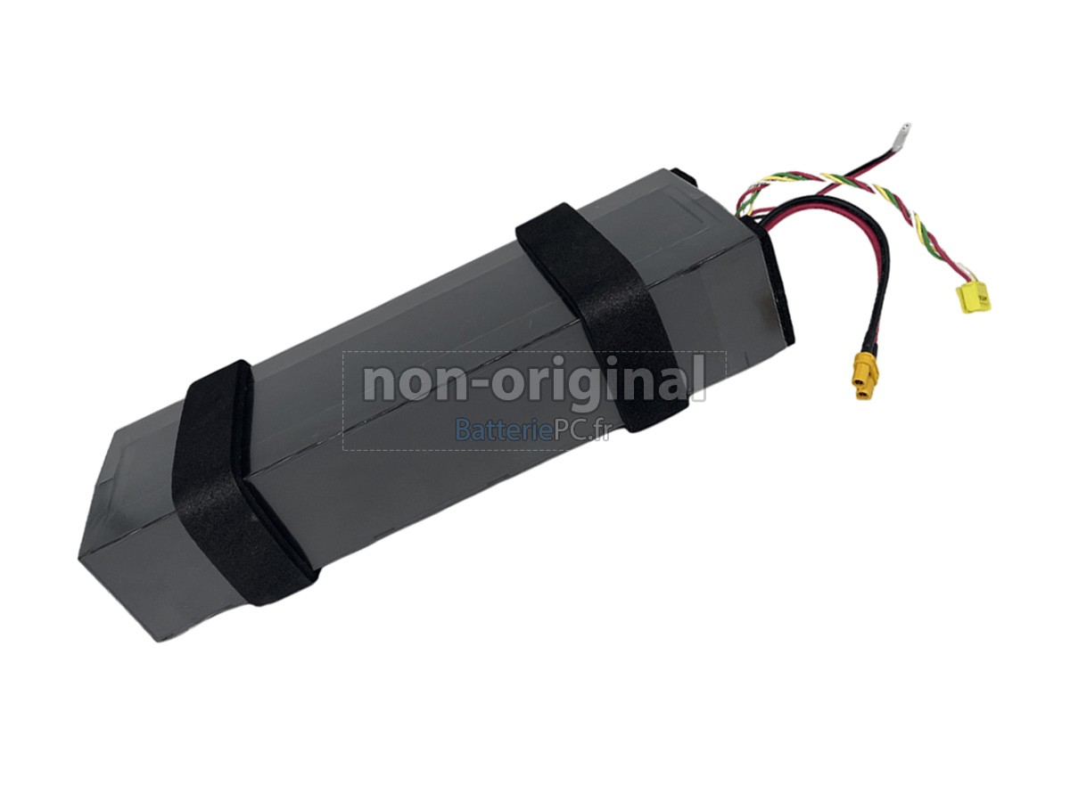 batterie pour Segway Ninebot NCAF3605A