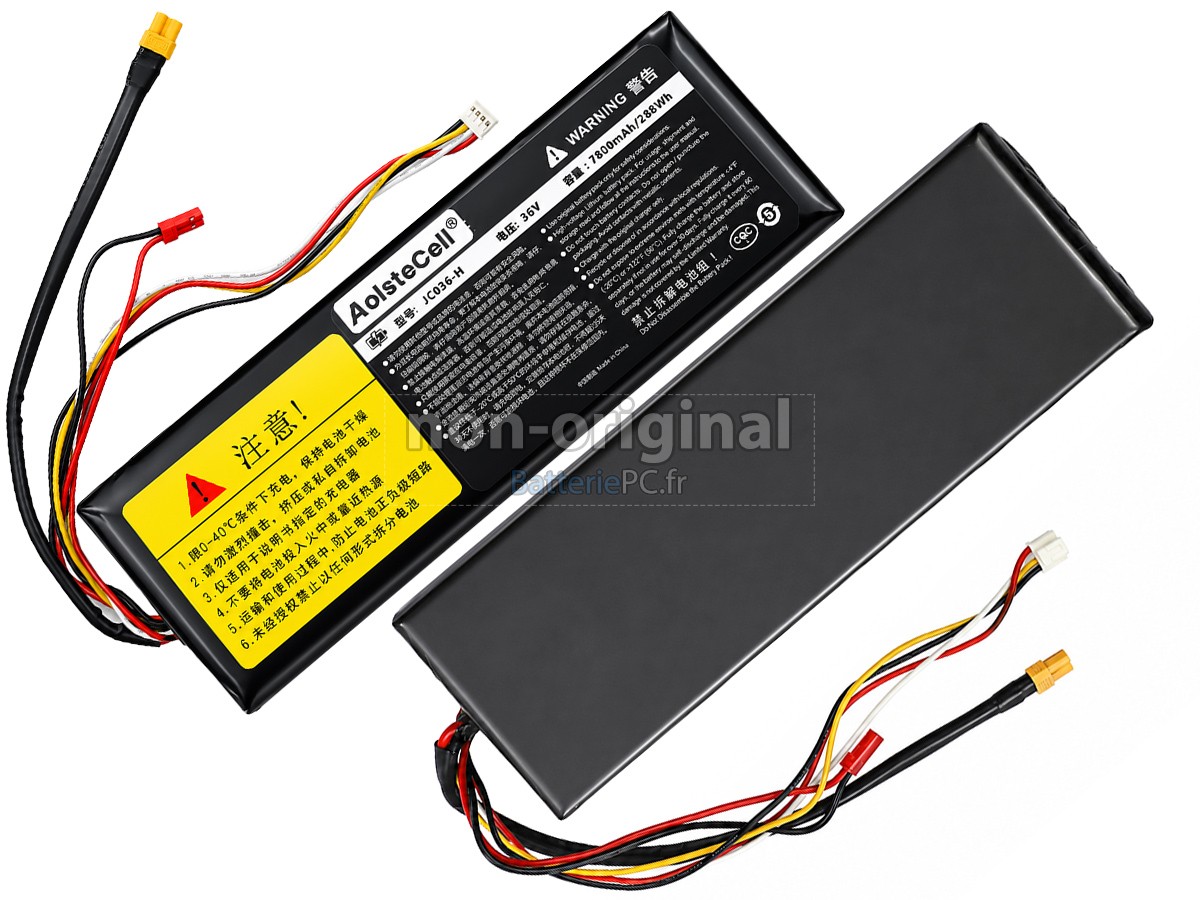 batterie pour Segway Ninebot H1319-H