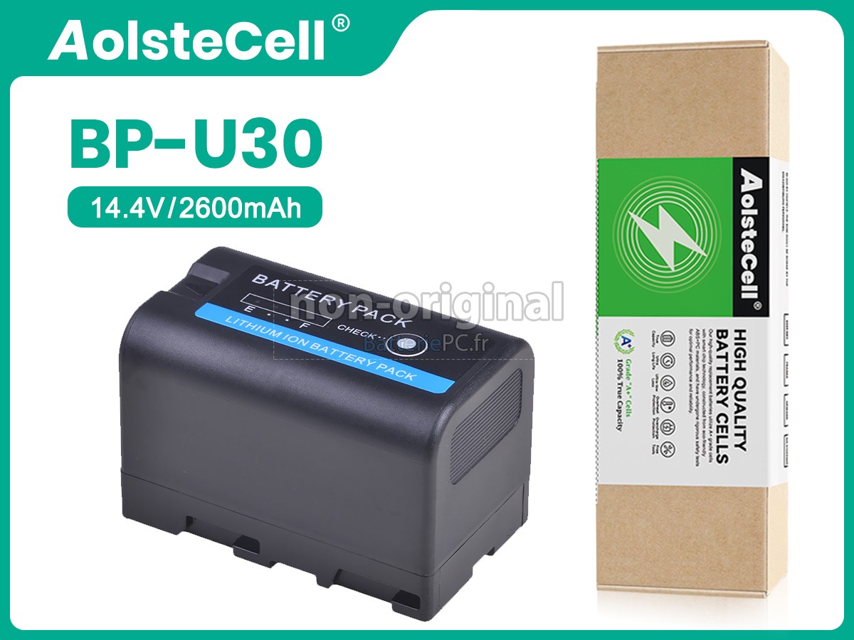 batterie pour Sony BP-U30