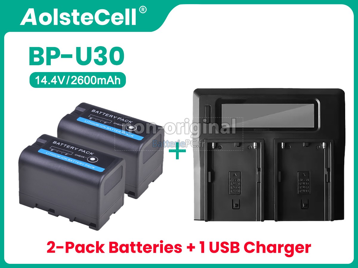 batterie pour Sony BP-U30