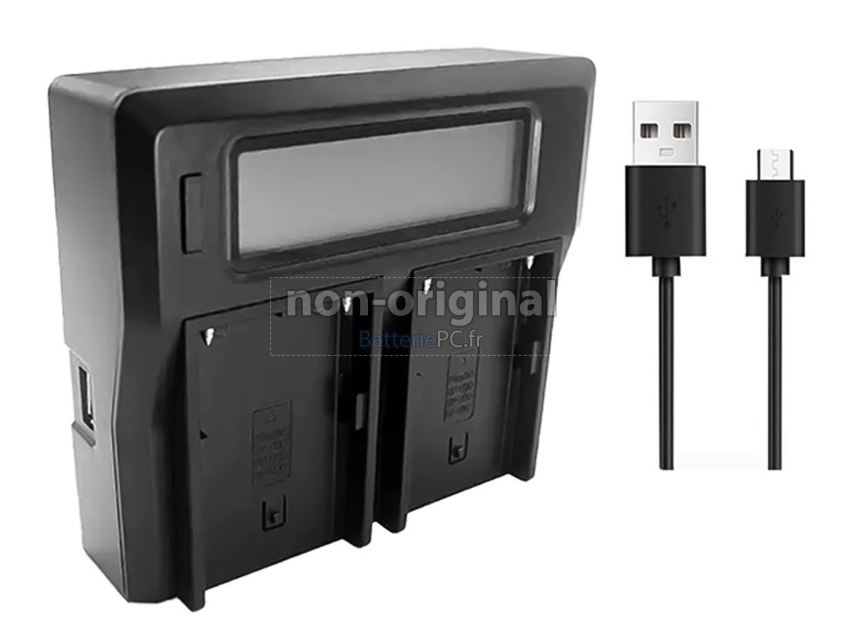 batterie pour Sony BP-U30