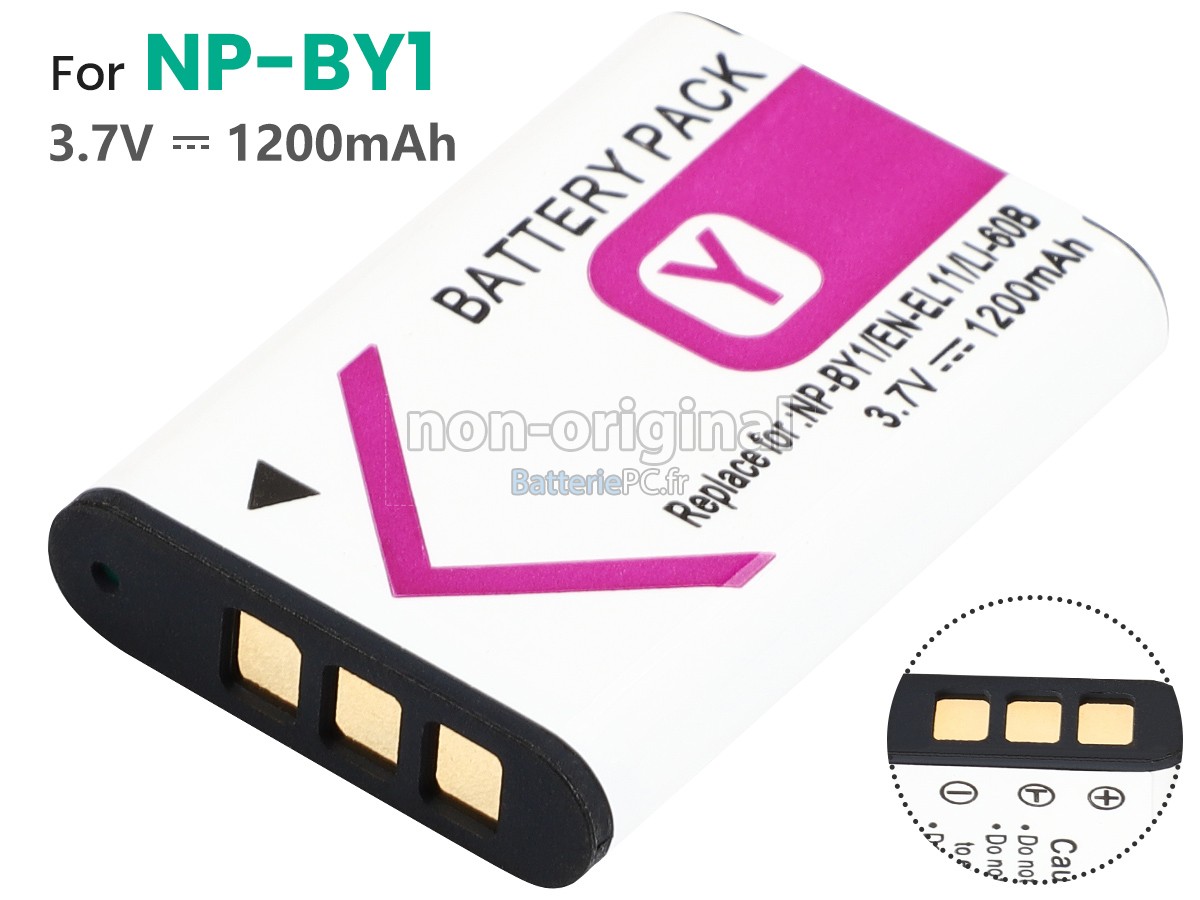 batterie pour Sony HDR-AZ1