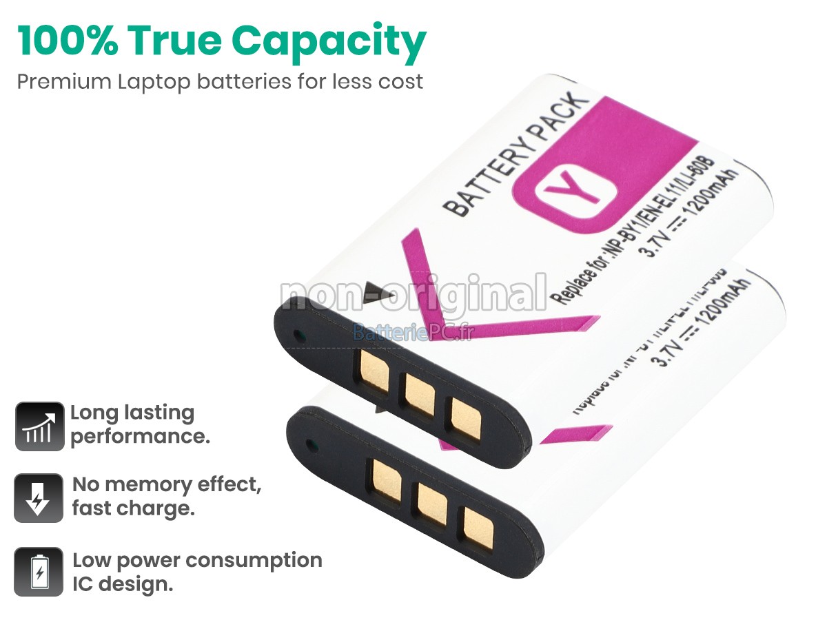 batterie pour Sony HDR-AZ1