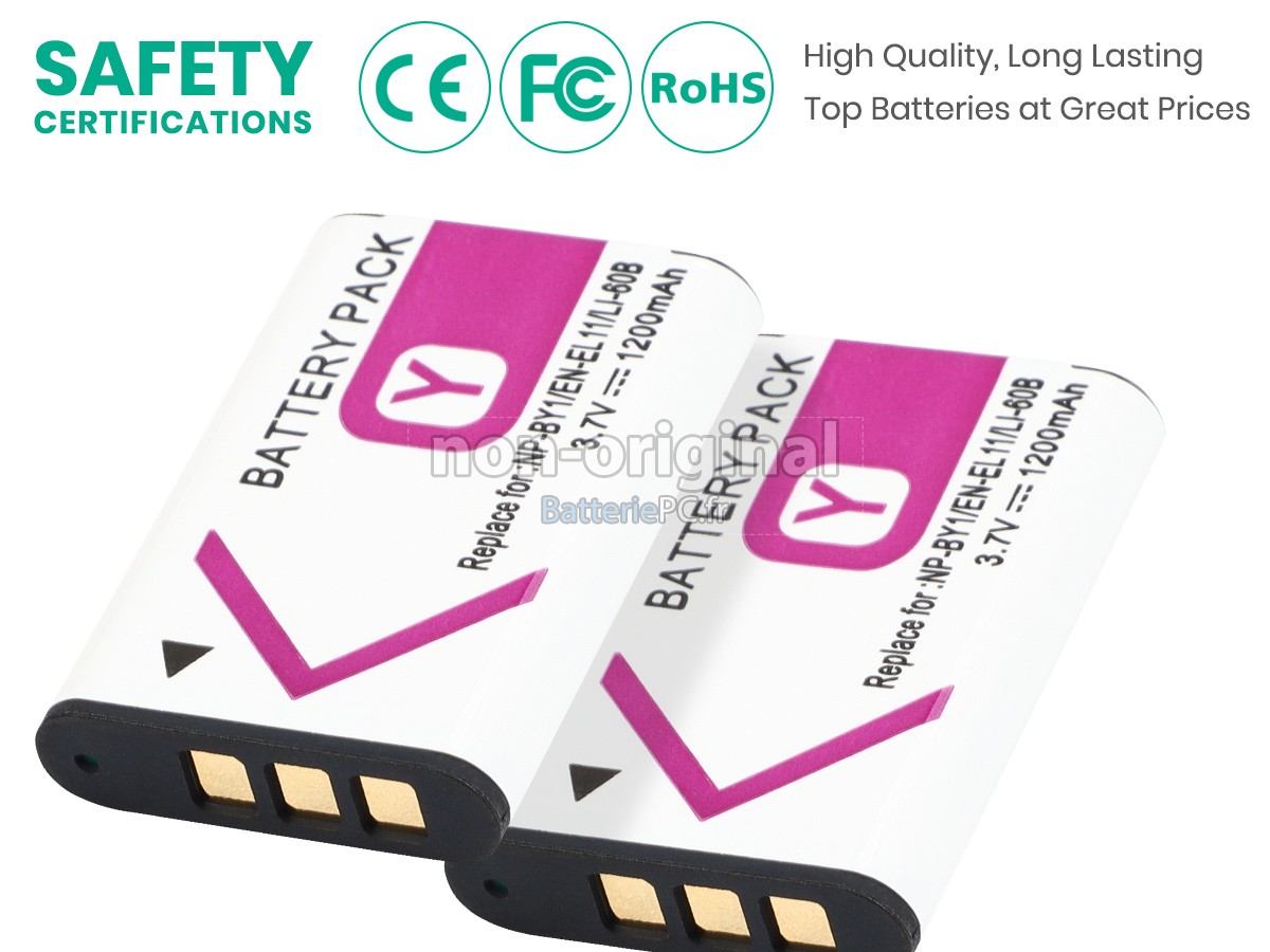 batterie pour Sony HDR-AZ1