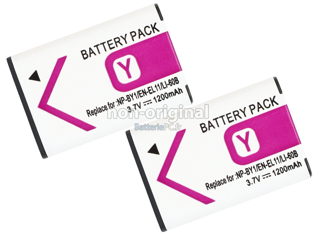 batterie pour Sony HDR-AZ1