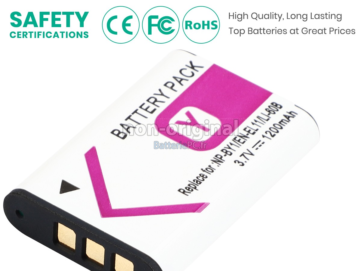 batterie pour Sony HDR-AZ1