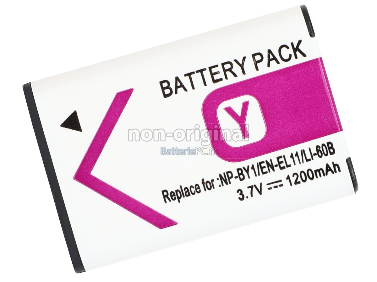 batterie pour Sony HDR-AZ1