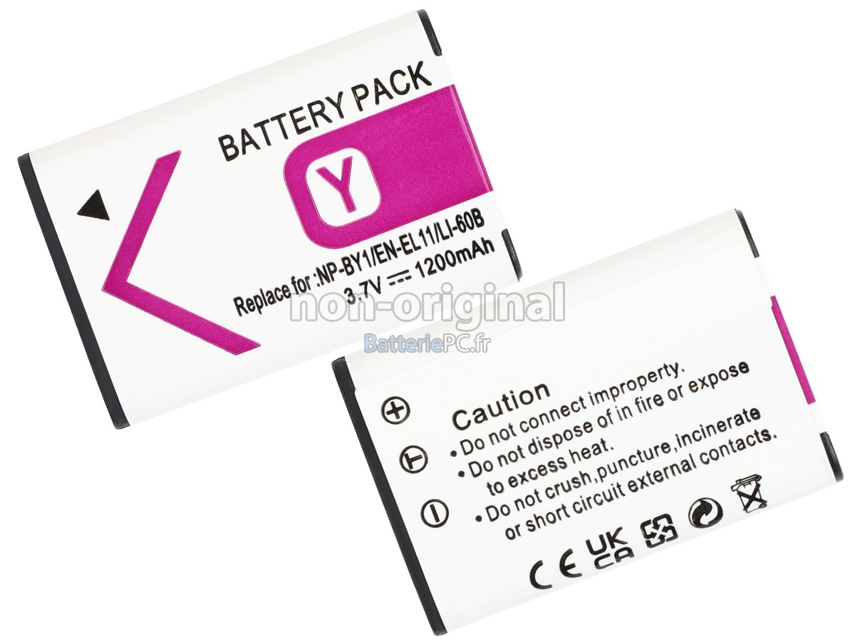 batterie pour Sony HDR-AZ1