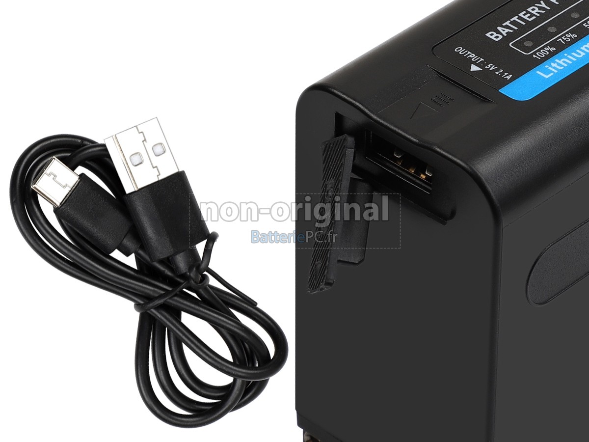batterie pour Sony DCR-TRV820E