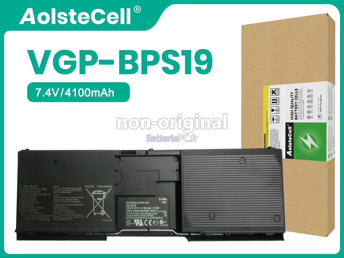 batterie pour Sony VGP-BPX19