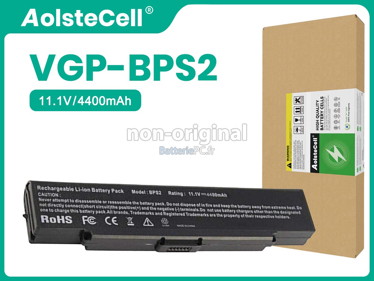 batterie pour Sony VGP-BPS2C