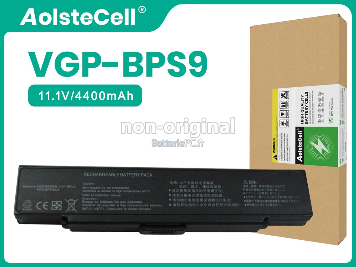 batterie pour Sony VGP-BPS9/S