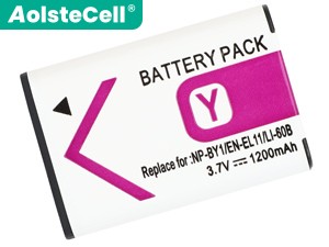 batterie pour pc portable Sony HDR-AZ1