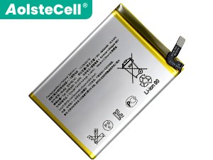 batterie pour pc portable Sony SNYSCA6