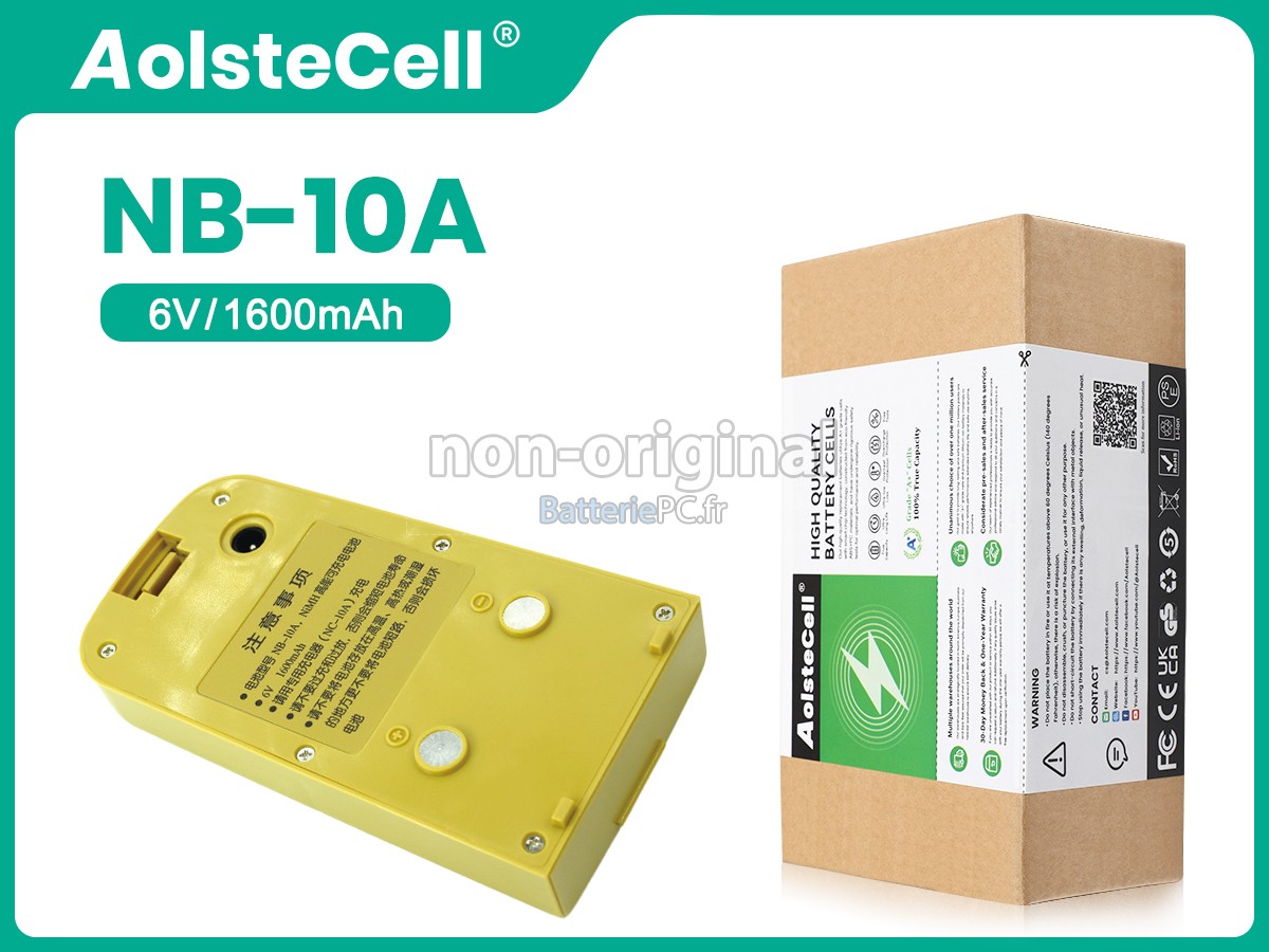 batterie pour South NB-10A