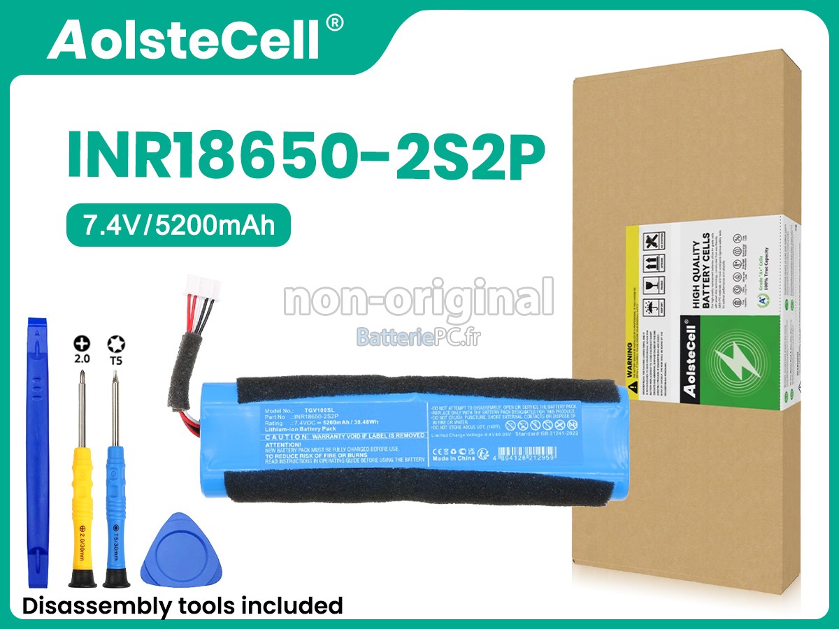 batterie pour Teufel TGV100SL