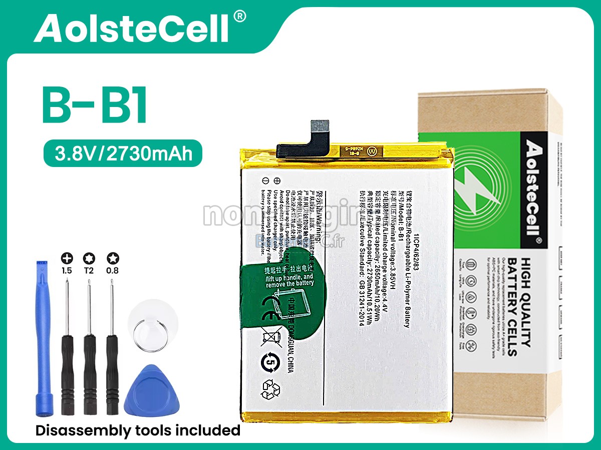 batterie pour Vivo B-B1