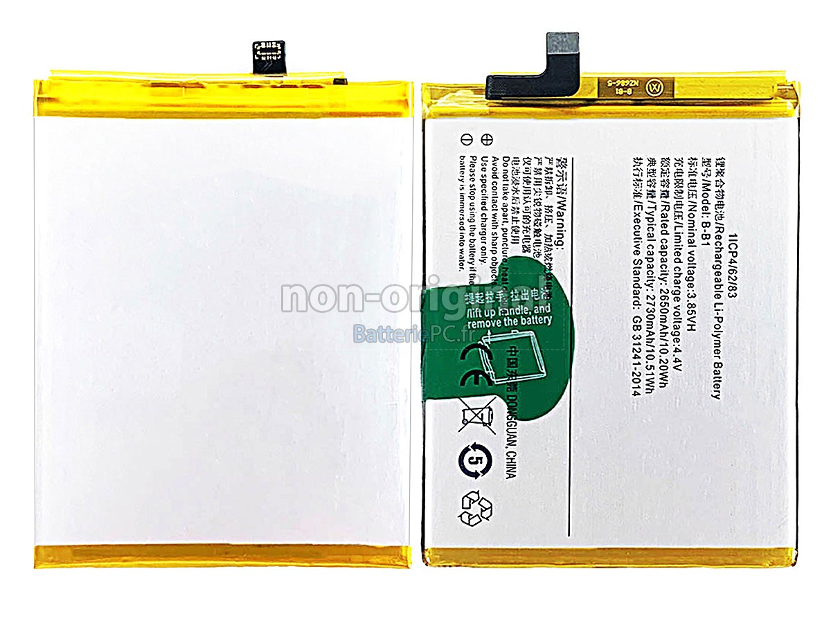 batterie pour Vivo B-B1