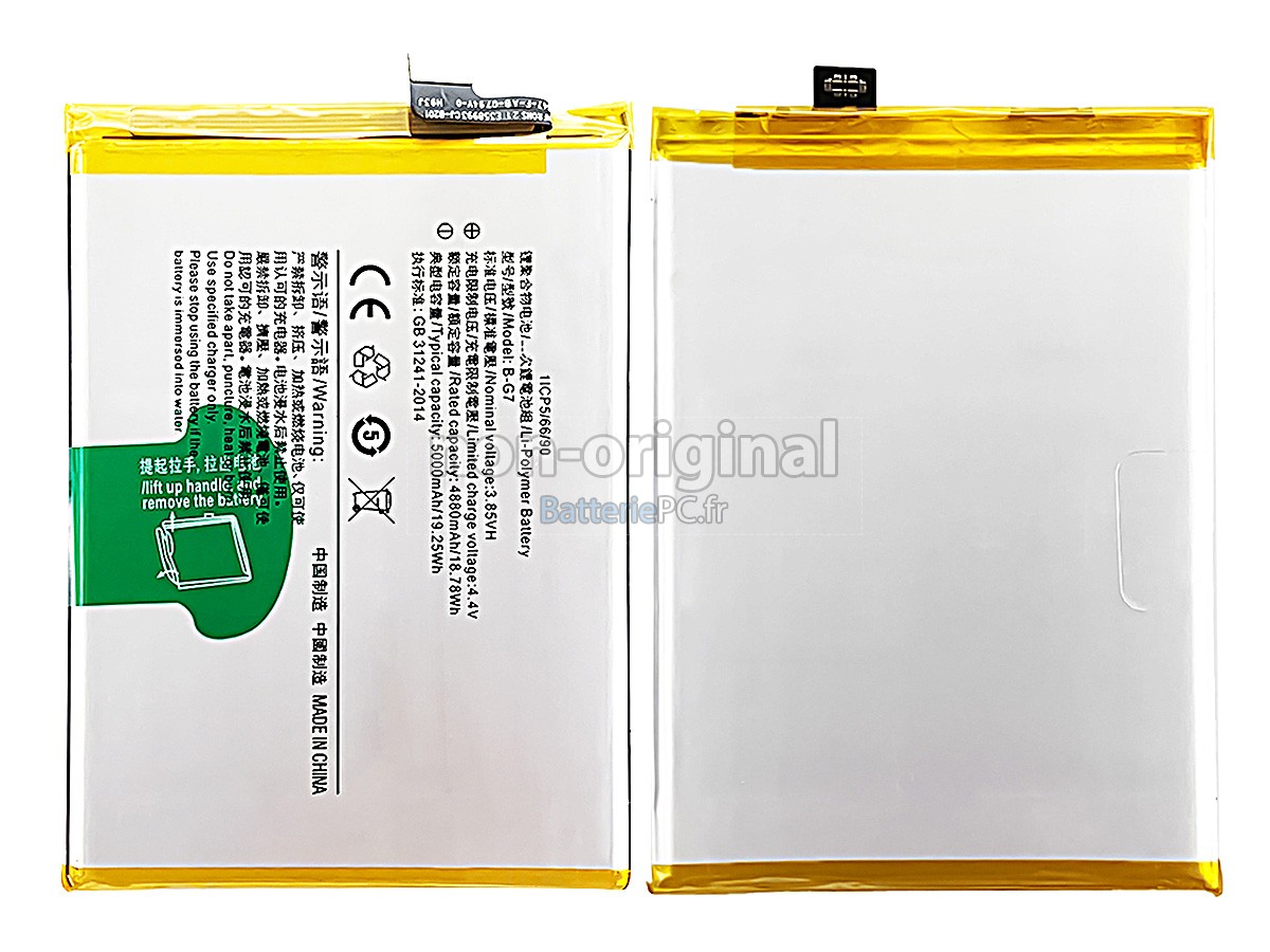 batterie pour Vivo Z5X