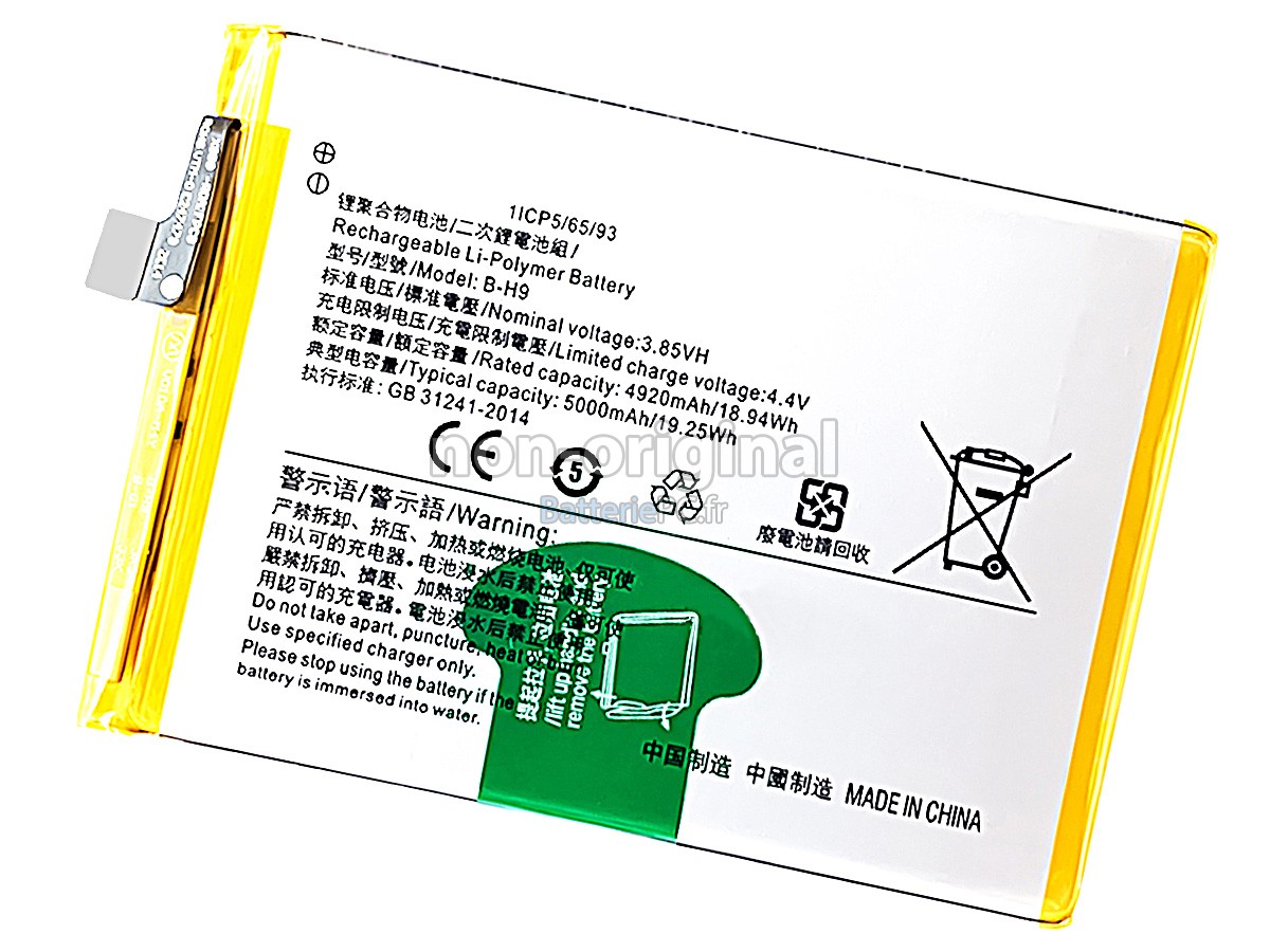 batterie pour Vivo Y19