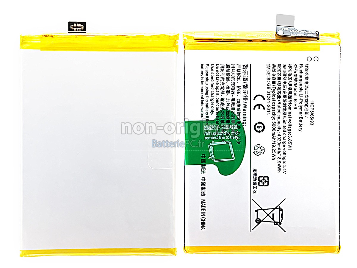 batterie pour Vivo Y19