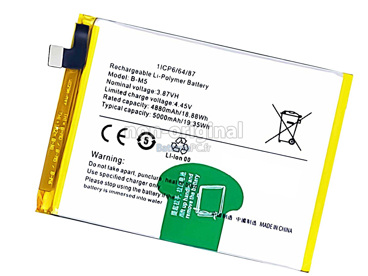 batterie pour Vivo B-M5