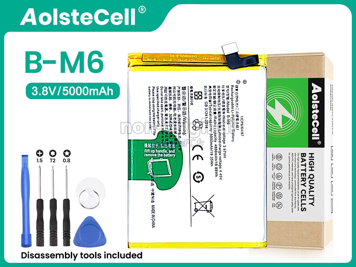 batterie pour Vivo B-M6