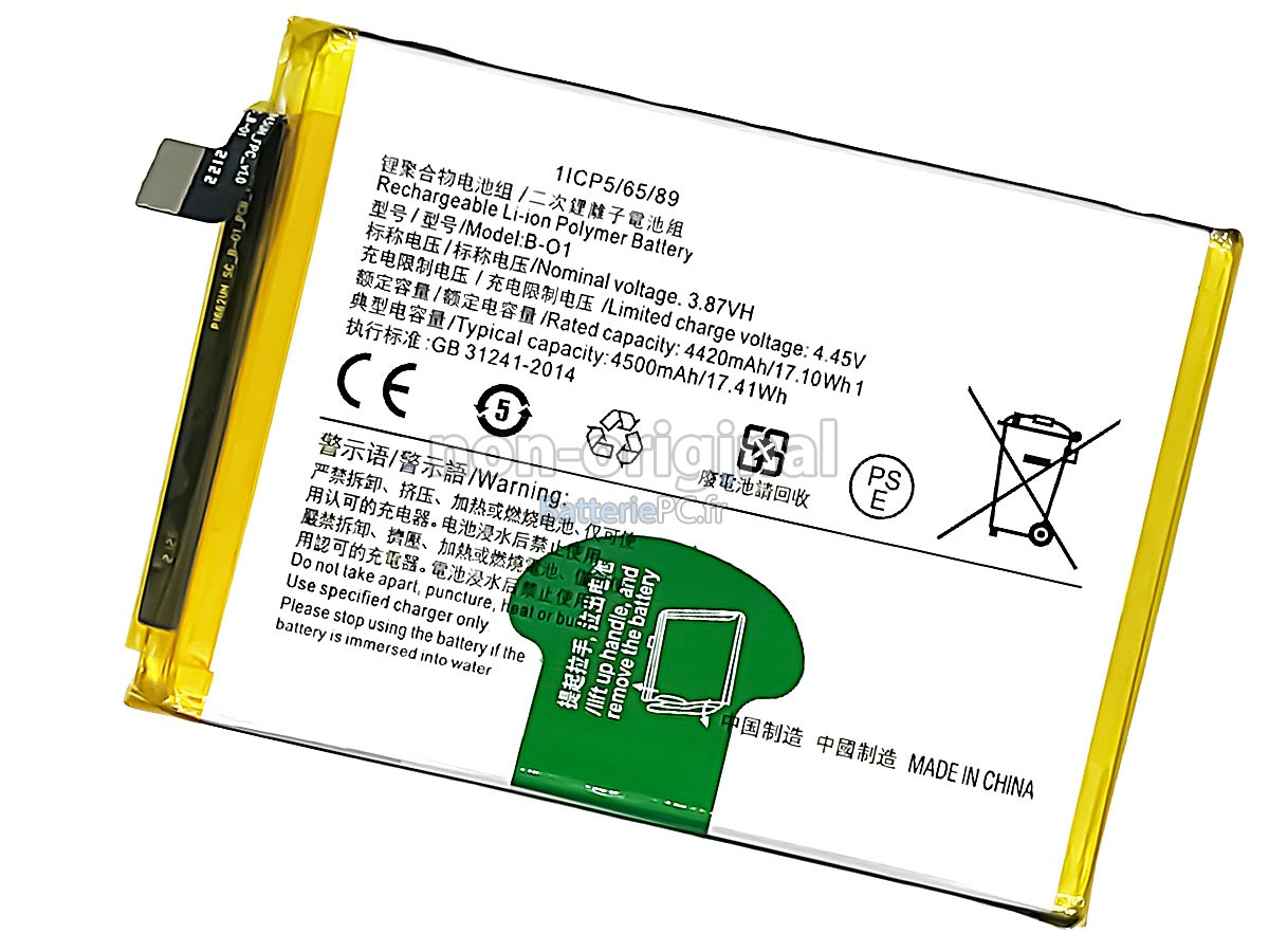 batterie pour Vivo B-O1