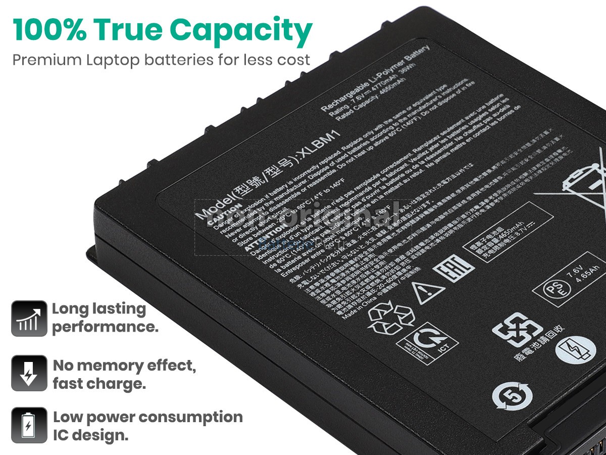 batterie pour Xplore XLBM1