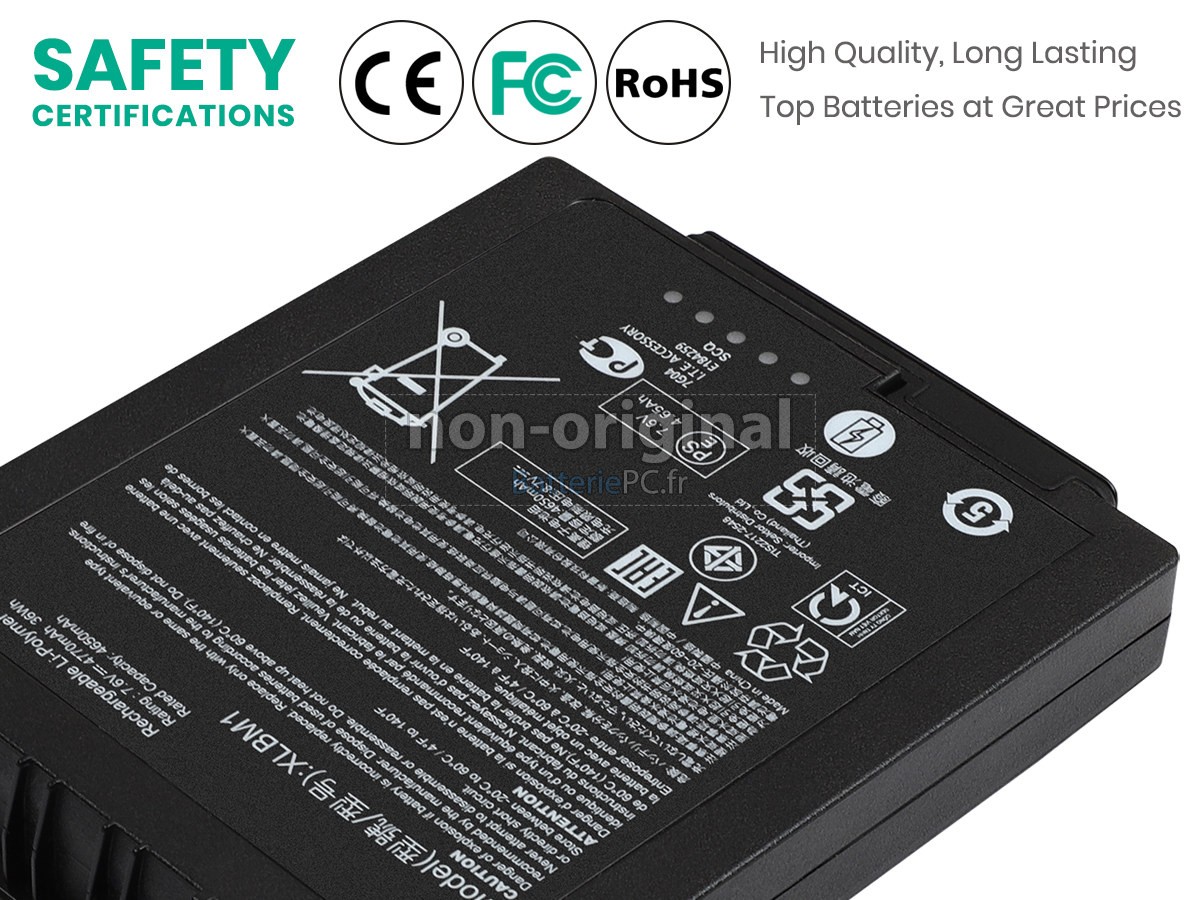 batterie pour Xplore XLBM1